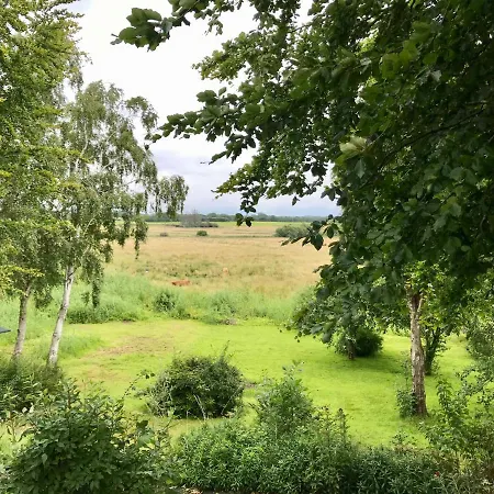 Apartament Ferienwohnung Wildgaense Schausende