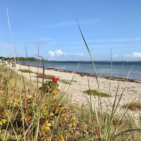 Apartament Ferienwohnung Wildgaense *
